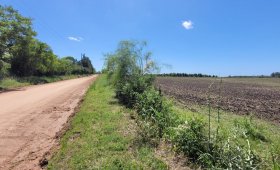 27 ha. en Villa Elisa